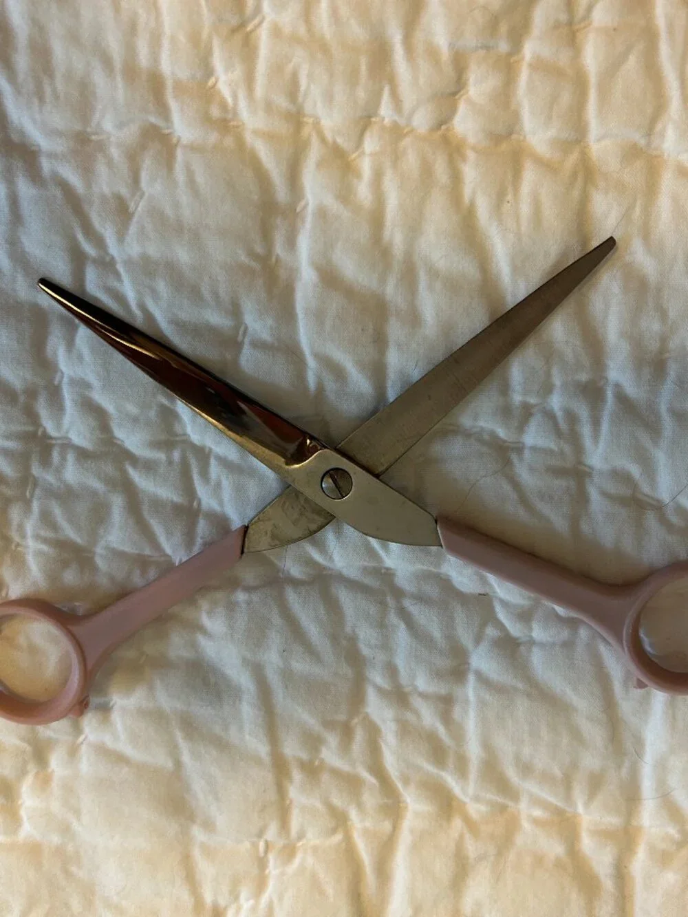 Pet Grooming Scissors Fur Cats Dogs